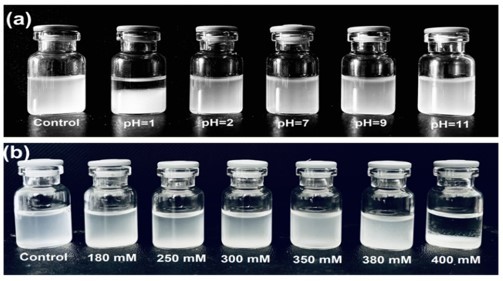 Khảo sát độ bền của Gd2O3@PMAO ở những điều kiện khác nhau: pH (a) và nồng độ NaCl (b) so sánh với mẫu đối chứng ở pH =7 và [NaCl] = 0M