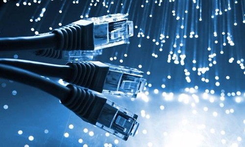 Ảnh: TN. Ảnh: TN.