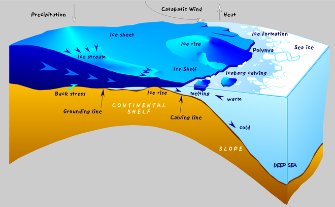 Polynya là những khu vực biển không bị đóng băng ở bên trong một khối băng. Polynya là những khu vực biển không bị đóng băng ở bên trong một khối băng.