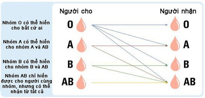 Sự tương hợp của các nhóm máu hiện tại, nhưng nó có thể được xóa bỏ trong tương lai gần Sự tương hợp của các nhóm máu hiện tại, nhưng nó có thể được xóa bỏ trong tương lai gần