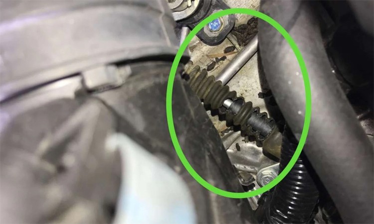 Dấu vết chuột cắn phá trong chiếc Honda Civic. Ảnh: David Albin Dấu vết chuột cắn phá trong chiếc Honda Civic. Ảnh: David Albin