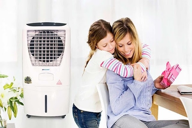 Cân bằng độ ẩm, tốt cho sức khỏe.