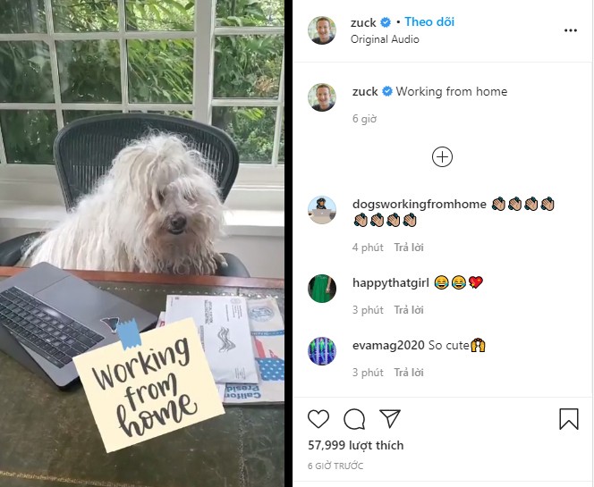 Mark Zuckerberg đăng video đầu tiên trên Reels và thu hút 58.000 lượt like sau vài tiếng đồng hồ.