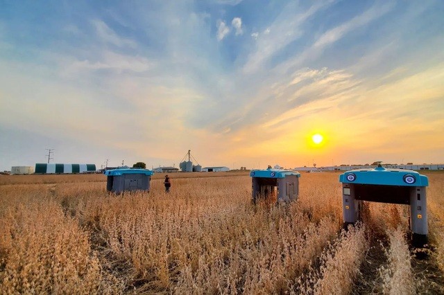 Alphabet tham vọng hệ thống robot có thể giúp giải quyết các vấn đề về lương thực trong tương lai Alphabet tham vọng hệ thống robot có thể giúp giải quyết các vấn đề về lương thực trong tương lai