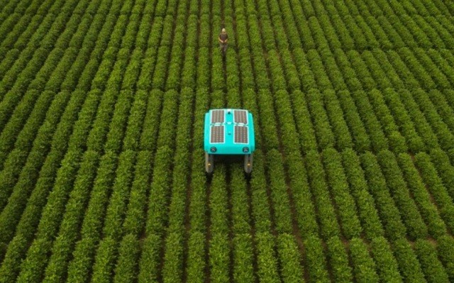 Robot thuộc dự án Mineral có thể đánh giá tình trạng cây trồng để đưa ra lời khuyên về cách chăm sóc cây Robot thuộc dự án Mineral có thể đánh giá tình trạng cây trồng để đưa ra lời khuyên về cách chăm sóc cây