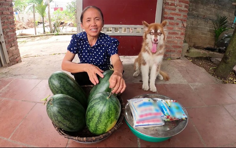 Trong 30 ngày gần đây nhất, kênh YouTube của Bà Tân chỉ "đút túi" khoảng 10 triệu lượt xem, theo ghi nhận của Social Blade. (Ảnh: Bà Tân Vlog) Trong 30 ngày gần đây nhất, kênh YouTube của Bà Tân chỉ "đút túi" khoảng 10 triệu lượt xem, theo ghi nhận của Social Blade. (Ảnh: Bà Tân Vlog)