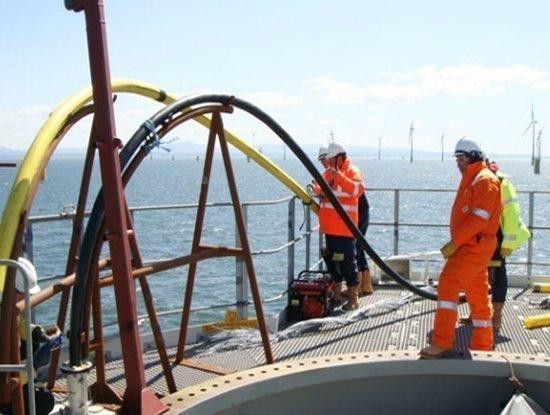 IA và APG là hai trong năm tuyến cáp quang biển chiếm phần lớn dung lượng kết nối Internet từ Việt Nam đi quốc tế (Ảnh minh họa: Internet) IA và APG là hai trong năm tuyến cáp quang biển chiếm phần lớn dung lượng kết nối Internet từ Việt Nam đi quốc tế (Ảnh minh họa: Internet)