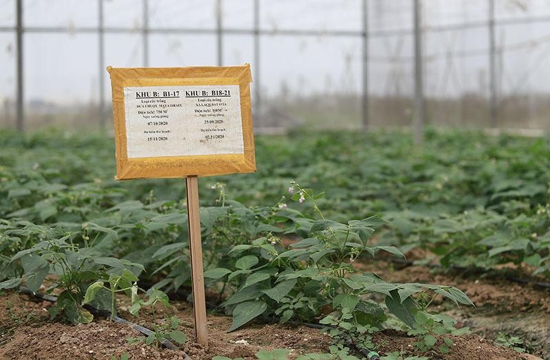 Nhật ký nông vụ được ghi chép cẩn thận nhờ máy tính Nhật ký nông vụ được ghi chép cẩn thận nhờ máy tính