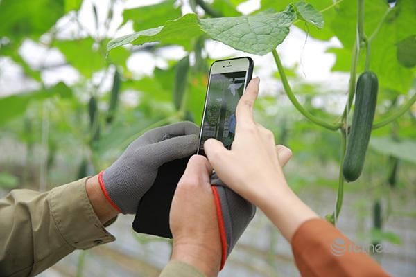 Giúp nông dân chuyển đổi số ảnh 1