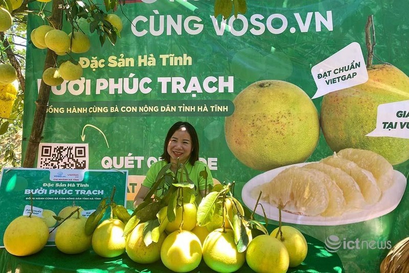 Bưu chính livestream bán thực phẩm, hàng thiết yếu cho người dân các vùng dịch ảnh 2