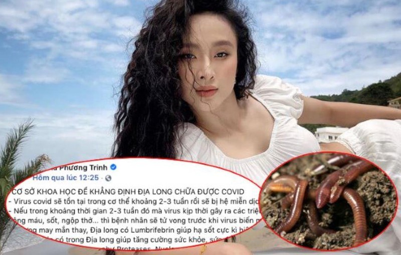 Angela Phương Trinh đã bị chỉ trích dữ dội khi đăng tải thông tin chữa Covid-19 bằng địa long. (Ảnh: suckhoedoisong)