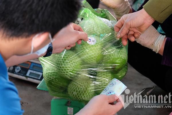 Dán tem truy xuất nguồn gốc nông sản tại một nhà vườn ở Hải Dương. (Ảnh: Trọng Đạt) Dán tem truy xuất nguồn gốc nông sản tại một nhà vườn ở Hải Dương. (Ảnh: Trọng Đạt)