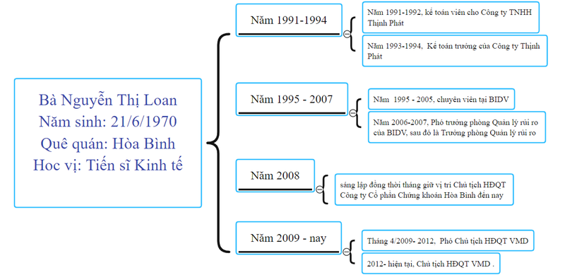 Bộ Công an khởi tố, bắt tạm giam "nữ tướng" Vimedimex Nguyễn Thị Loan - Ảnh 2.