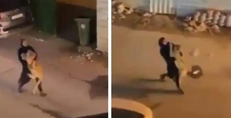 Cô gái thản nhiên bế con sư tử trên tay, dù nó liên tục vùng vẫy để tìm cách thoát ra (Ảnh cắt từ clip). Cô gái thản nhiên bế con sư tử trên tay, dù nó liên tục vùng vẫy để tìm cách thoát ra (Ảnh cắt từ clip).