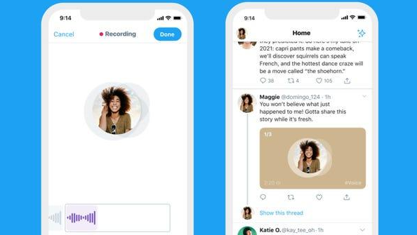 Facebook, Twitter lao đao vì bị tẩy chay ảnh 5 Twitter thử nghiệm tính năng tweet âm thanh mới