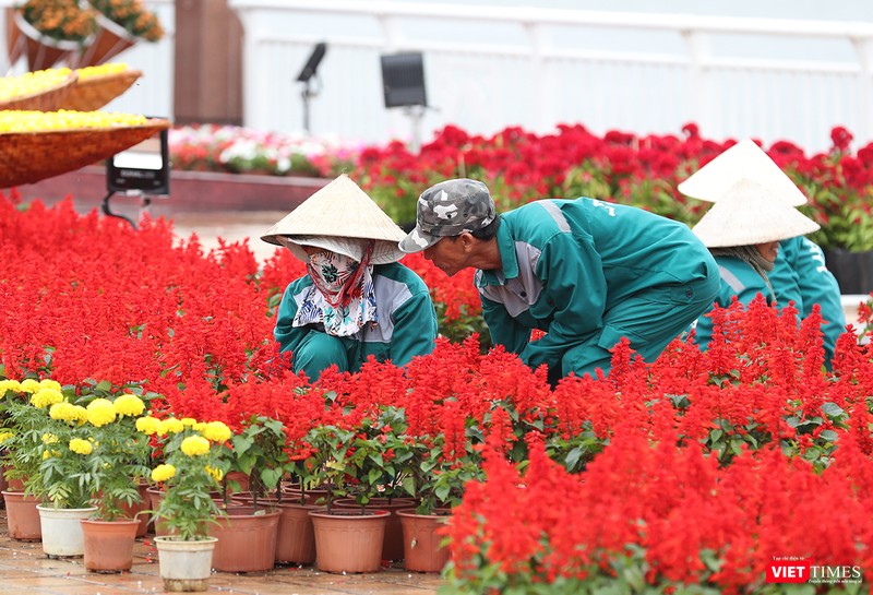 Công nhân đang nỗ lực hoàn thiện đường hoa Công nhân đang nỗ lực hoàn thiện đường hoa