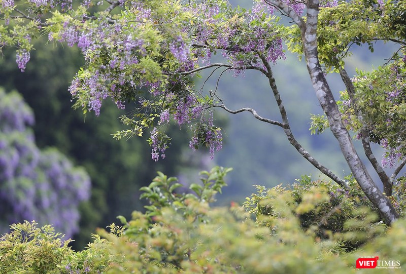 Thác mát vào mùa