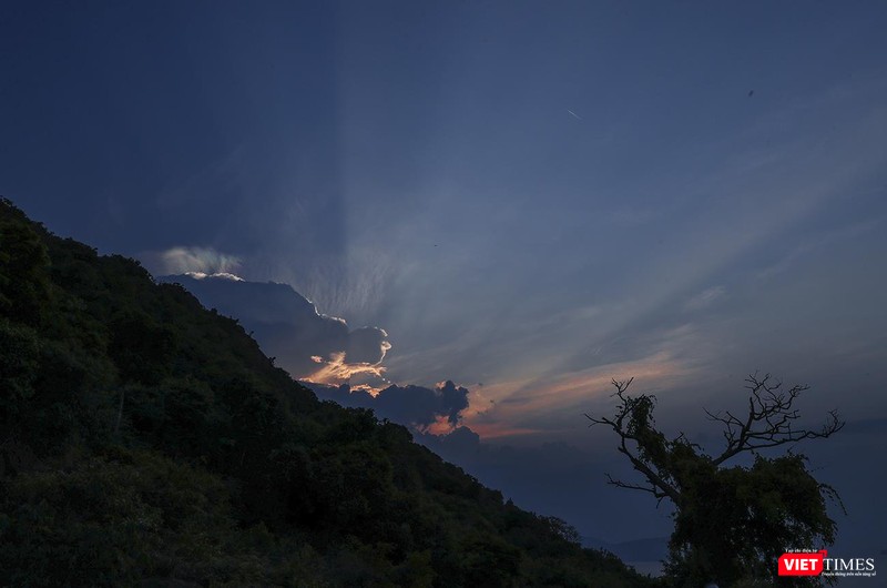 Ánh nắng cuối ngày trên sườn núi Sơn Trà