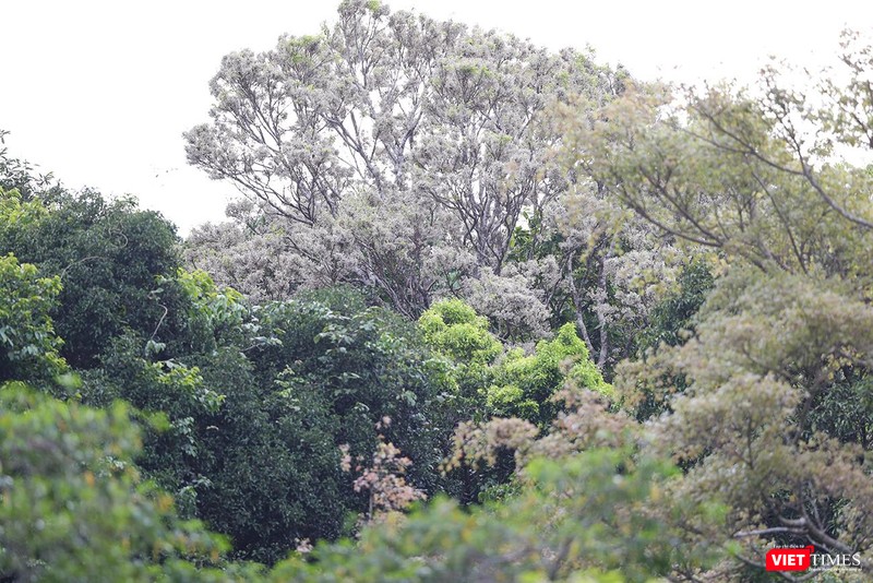 Đẹp khó cưỡng lại