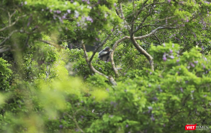 Chốn... "thiên đường"
