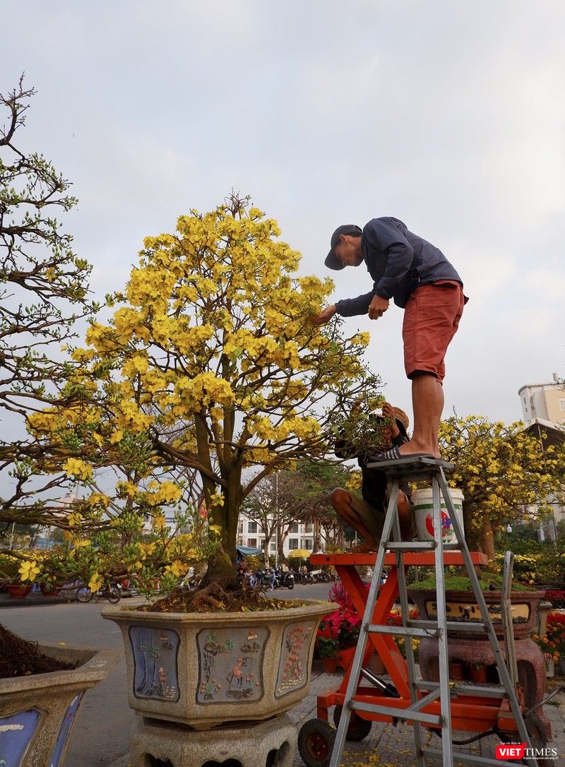 Sửa sang trước khi đưa về ... chủ mới