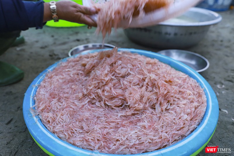 Ruốc đánh bắt quanh chân bán đảo Sơn Trà được đánh giá là đặc sản khó cưỡng với nhiều cách chế biến Ruốc đánh bắt quanh chân bán đảo Sơn Trà được đánh giá là đặc sản khó cưỡng với nhiều cách chế biến