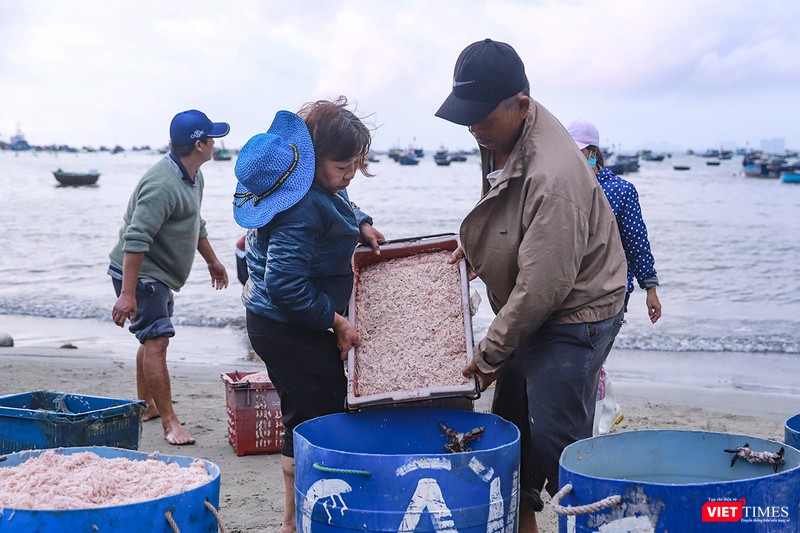 Cho vào thùng để sớm chuyển ra chợ Cho vào thùng để sớm chuyển ra chợ