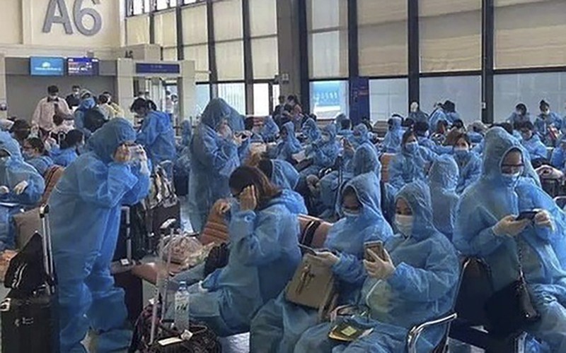 Cựu Phó giám đốc Sở bị bắt tại TP.HCM theo lệnh truy nã đặc biệt nguy hiểm ảnh 5 Sở Y tế Quảng Nam nói gì về vụ tiếp nhận cách ly 243 “bà bầu” từ Đài Loan về nước