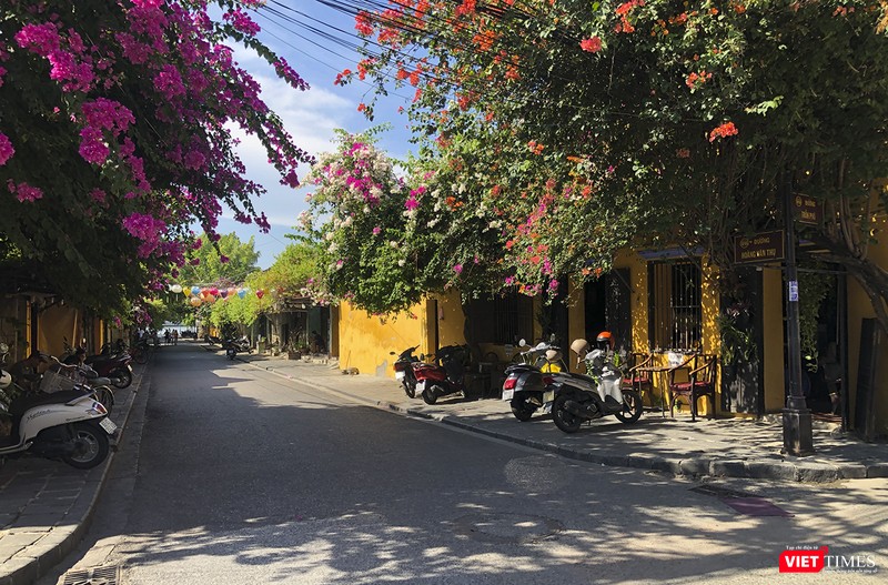 Hoa giấy đã nở khắp con phố