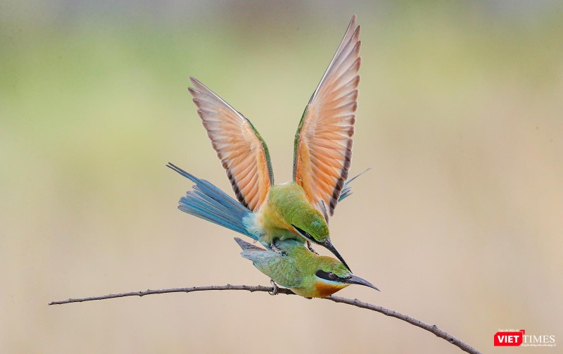 Khoảnh khắc ân ái