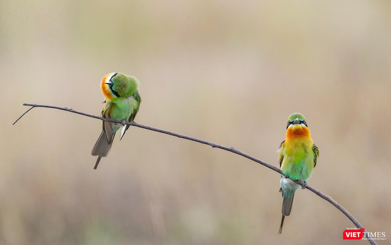 Vũ điệu yêu thương