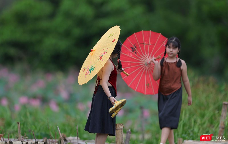 Cánh đồng sen thu hút cả nhưng em bé