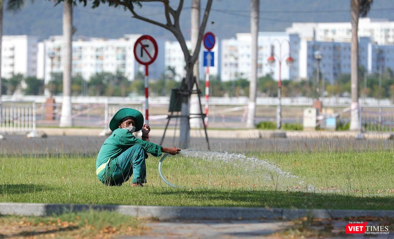 Giữ cho Đà Nẵng luôn xanh