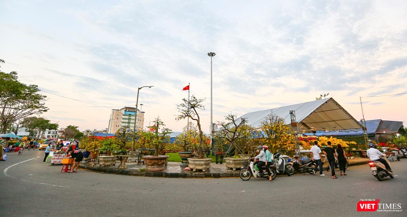 Một góc khác của chợ hoa xuân Đà Nẵng
