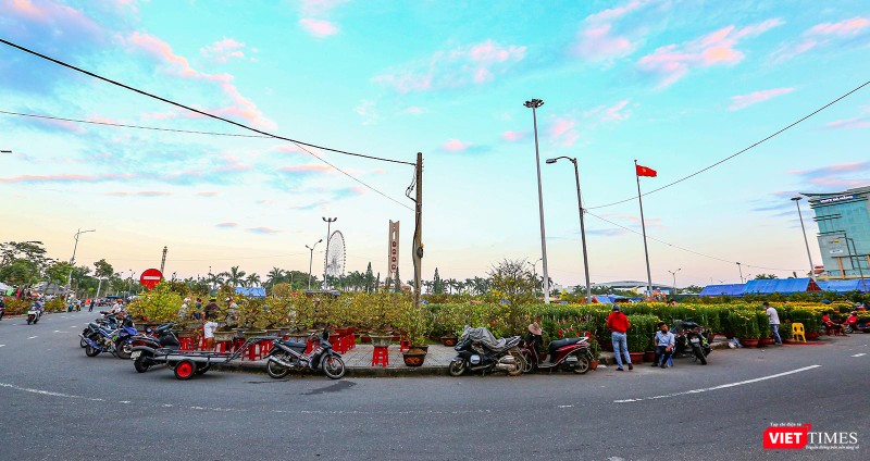 Một góc chợ hoa xuân tại Quảng trường 29 tháng 3