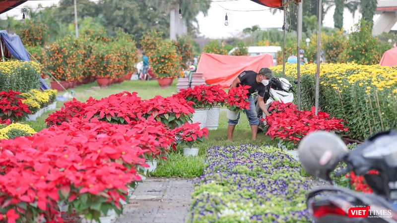 Soạn hoa cho khách