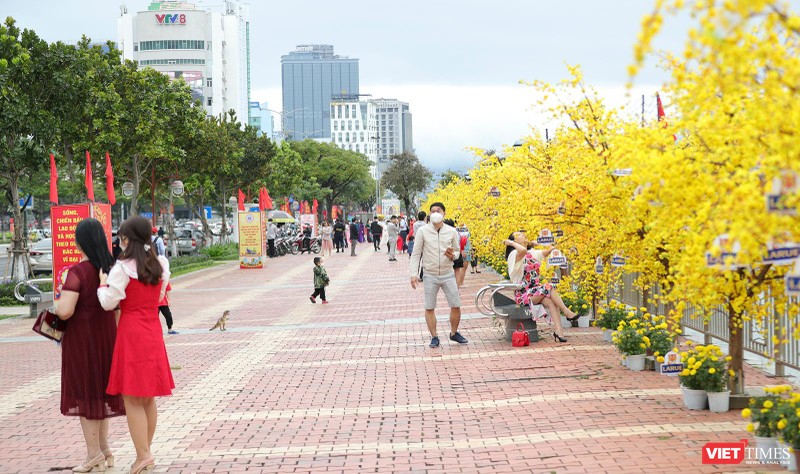 Tuyến Bạch Đằng nối dài (đoạn từ cầu Rồng đến cầu Trần Thị Lý) được trang trí làm đường hoa trong dịp Tết Nguyên đán 2022