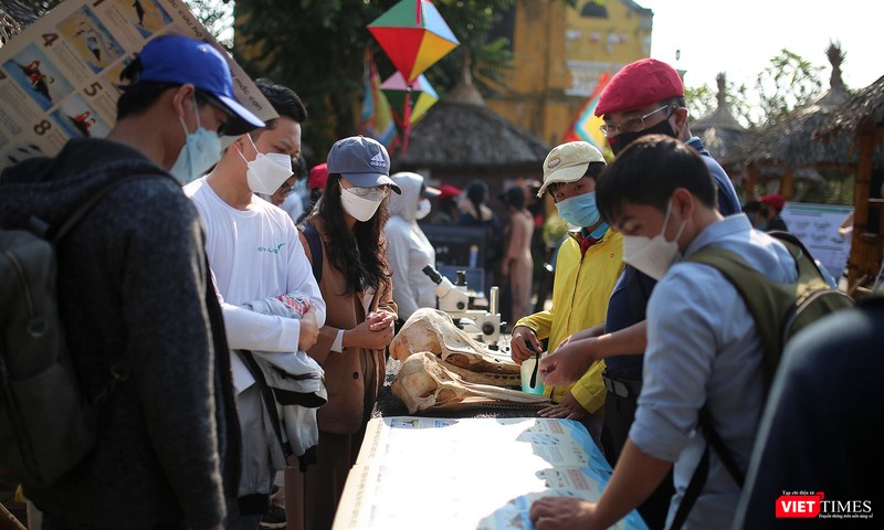 Triển lãm giới thiệu động vật biển