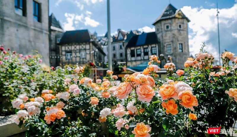 Vườn hồng làng Pháp tại Khu du lịch Sun World Ba Na Hills Vườn hồng làng Pháp tại Khu du lịch Sun World Ba Na Hills