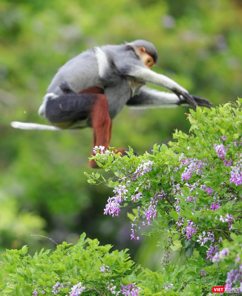 Cú nhảy của hai mẹ con