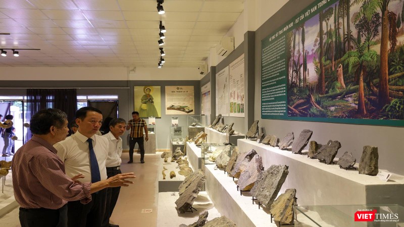 Khách tham quan chiêm ngưỡng các hoá thạch nghìn năm tuổi