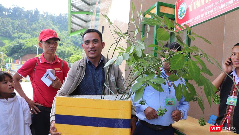 Ông Đinh Hồng Thắng (37 tuổi, người dân xã Trà Linh, huyện Nam Trà My, tỉnh Quảng Nam) đem cây sâm Ngọc Linh 20 năm tuổi đến hội chợ