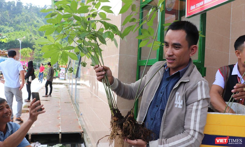 Cây sâm Ngọc Linh được chủ nhân ra giá giá 900 triệu đồng tại phiên chợ sâm huyện Nam Trà My (Quảng Nam)