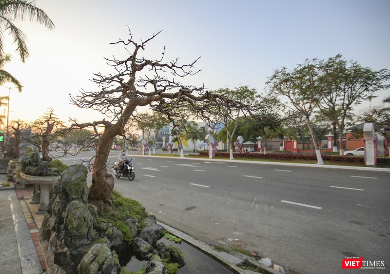 &quot;Siêu phẩm&quot; mai thế