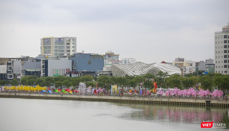 Đường hoa xuân Bạch Đằng đoạn công viên APEC