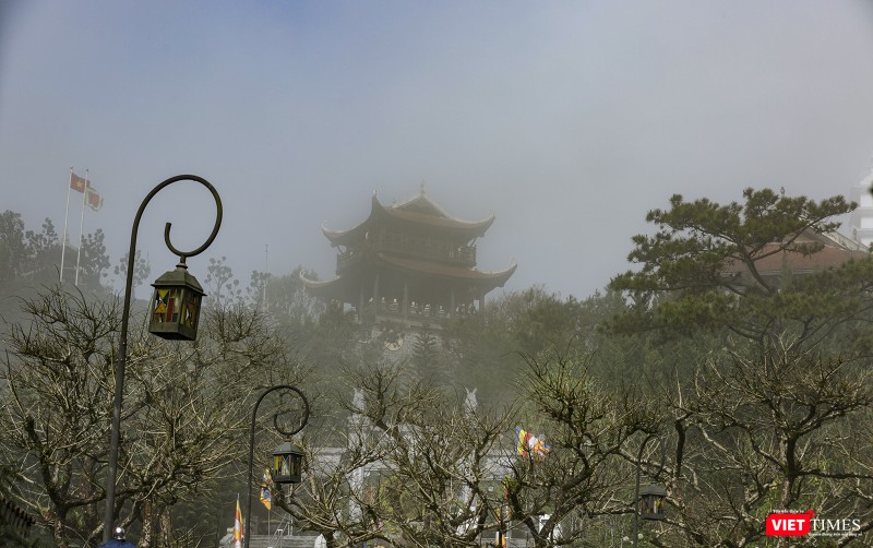 Trên đỉnh Bà Nà, khu vực tháp chuông là nơi có mật độ hoa đào chuông nhiều nhất