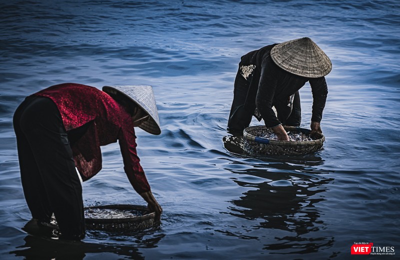 Cá cơm được rửa sạch bằng nước biển