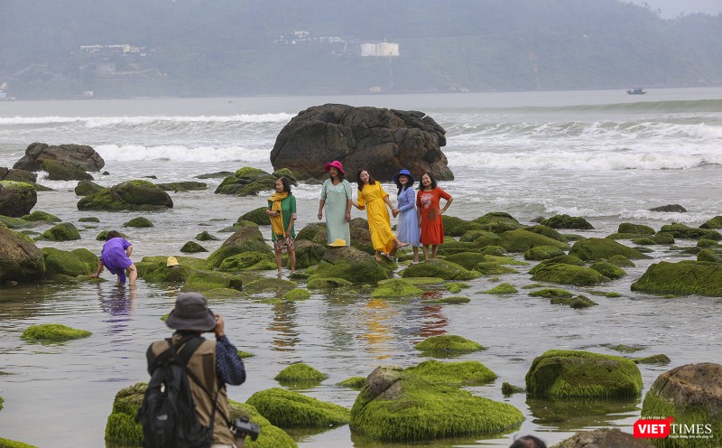 Lưu lại khoảng khắc gành Nam Ô vào mùa rêu