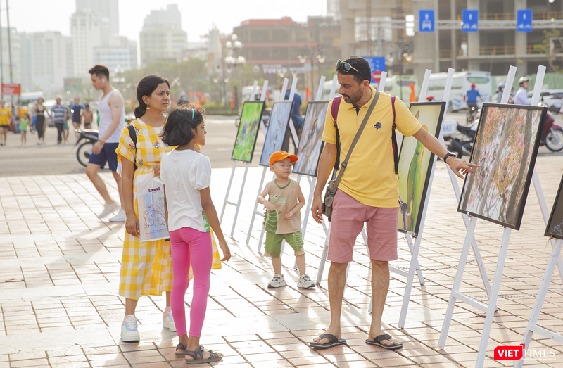 Triển lãm tranh về bán đảo Sơn Trà