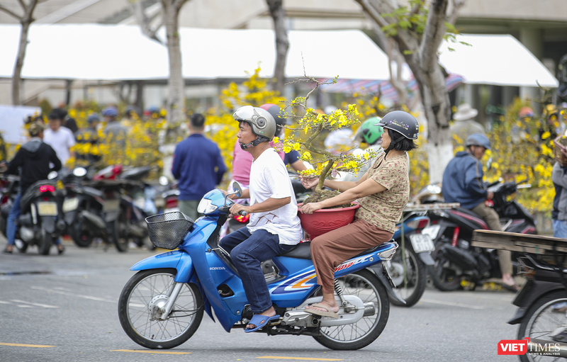 Chở Xuân về nhà